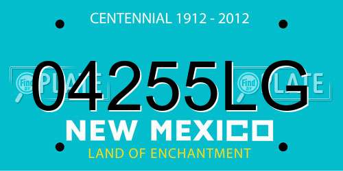 04255LG New Mexico License Plate