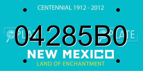 04285B0 New Mexico License Plate