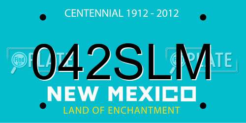 042SLM New Mexico License Plate
