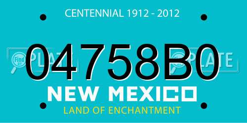 04758B0 New Mexico License Plate