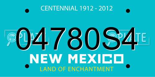 04780S4 New Mexico License Plate