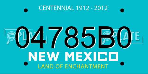 04785B0 New Mexico License Plate