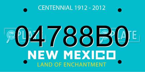 04788B0 New Mexico License Plate