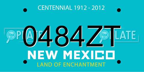 0484ZT New Mexico License Plate