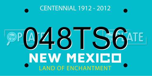 048TS6 New Mexico License Plate