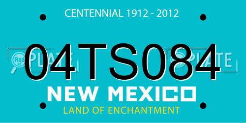 04TS084 New Mexico License Plate
