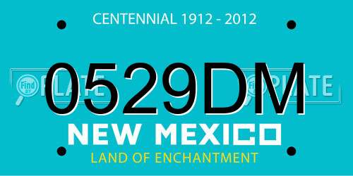 0529DM New Mexico License Plate