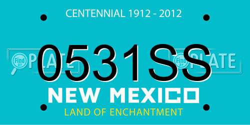 0531SS New Mexico License Plate