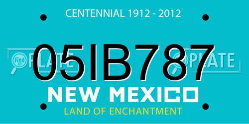 05IB787 New Mexico License Plate