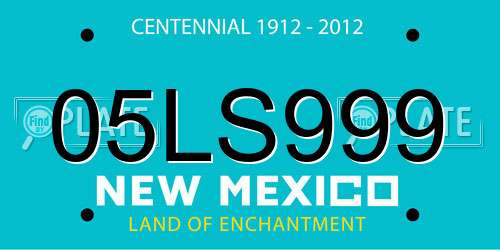 05LS999 New Mexico License Plate