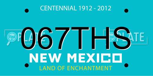 067THS New Mexico License Plate