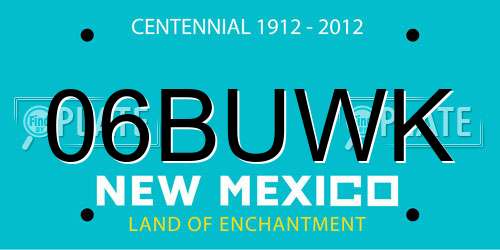 06BUWK New Mexico License Plate