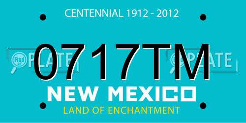 0717TM New Mexico License Plate