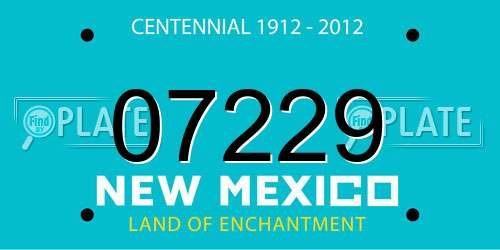 07229 New Mexico License Plate