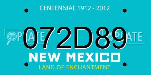 072D89 New Mexico License Plate