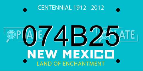 074B25 New Mexico License Plate