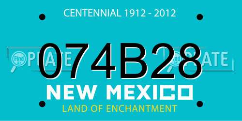 074B28 New Mexico License Plate