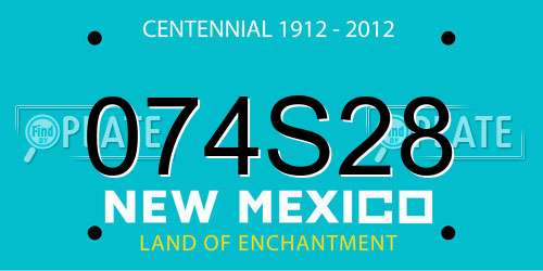 074S28 New Mexico License Plate