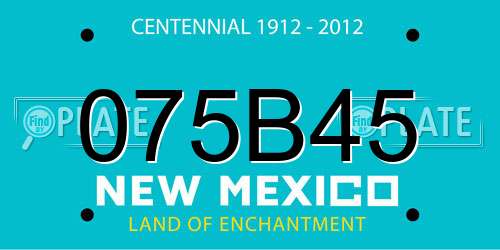 075B45 New Mexico License Plate
