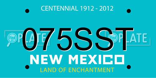 075SST New Mexico License Plate
