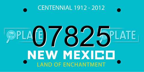 07825 New Mexico License Plate