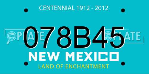 078B45 New Mexico License Plate