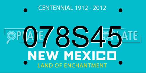 078S45 New Mexico License Plate