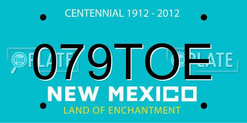 079TOE New Mexico License Plate