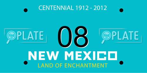 08 New Mexico License Plate