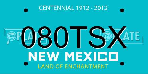 080TSX New Mexico License Plate