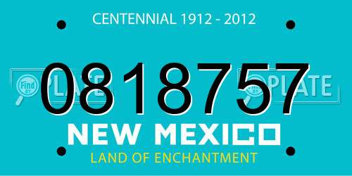 0818757 New Mexico License Plate