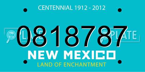 0818787 New Mexico License Plate