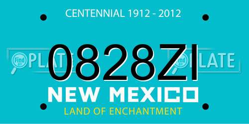 0828ZI New Mexico License Plate