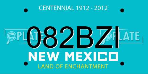 082BZI New Mexico License Plate