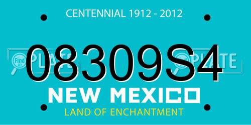 08309S4 New Mexico License Plate