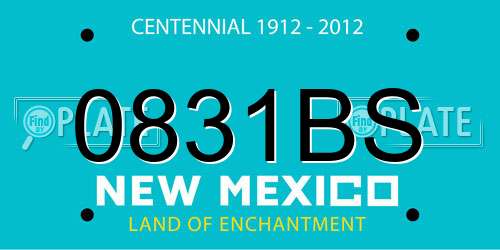 0831BS New Mexico License Plate