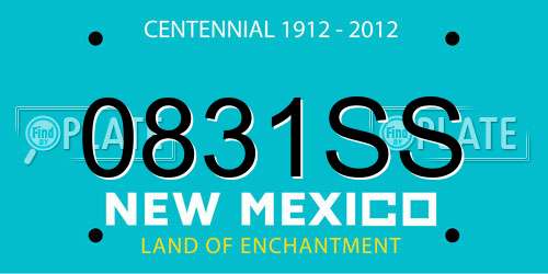 0831SS New Mexico License Plate