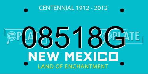 08518G New Mexico License Plate