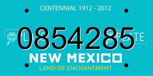 0854285 New Mexico License Plate