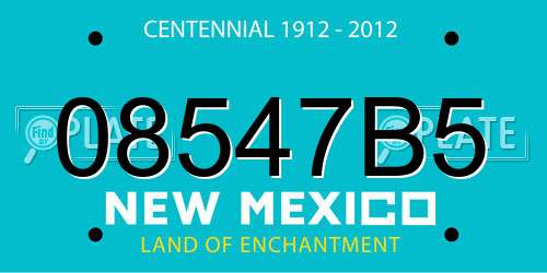 08547B5 New Mexico License Plate
