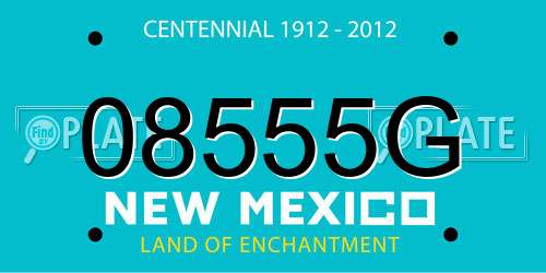 08555G New Mexico License Plate