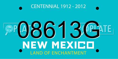 08613G New Mexico License Plate