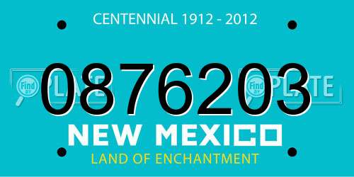 0876203 New Mexico License Plate