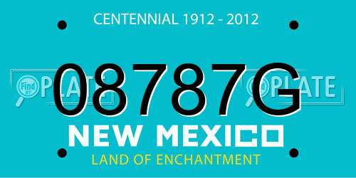 08787G New Mexico License Plate