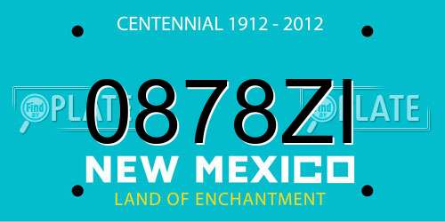 0878ZI New Mexico License Plate