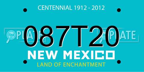 087T20 New Mexico License Plate