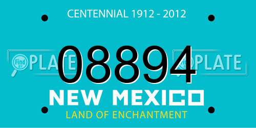08894 New Mexico License Plate