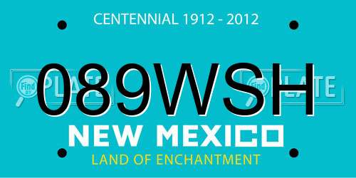 089WSH New Mexico License Plate