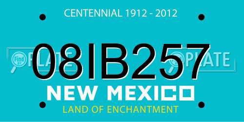 08IB257 New Mexico License Plate