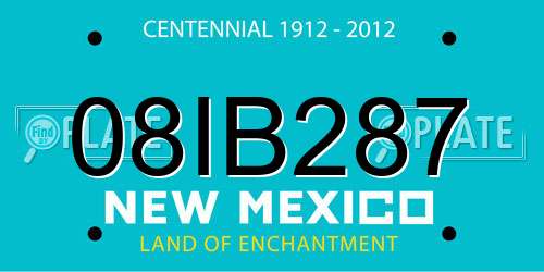 08IB287 New Mexico License Plate